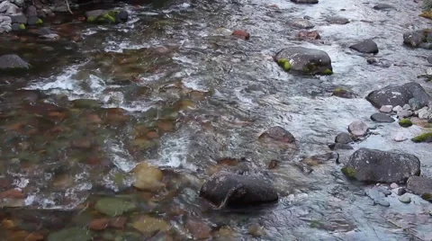 A mountain stream. Stock Footage 42132676
