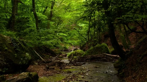 Mountain stream Stock Footage 43338166