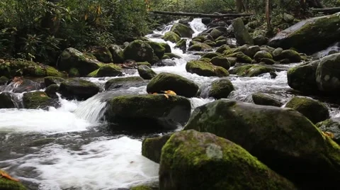 Mountain Stream Video stock 43486980