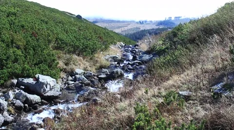 Mountain stream Stock Footage 44168967