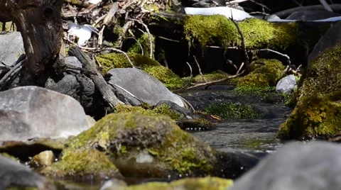 Mountain Stream Stock Footage 47813574