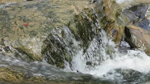 Mountain stream Stock Footage 49194471