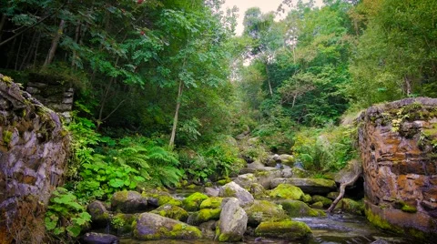 Mountain stream 스톡 동영상 54408004