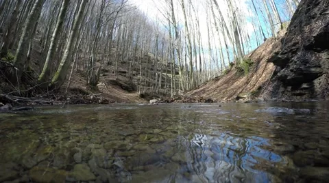 Mountain Stream Stock Footage 58954886