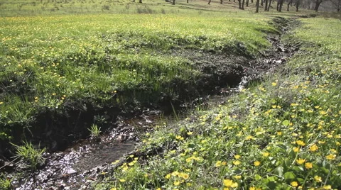 Mountain stream Stock Footage 62558318