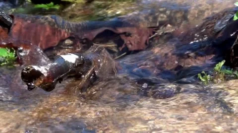 Mountain stream Vídeo Stock 62743448