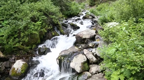 Mountain Stream Stock Footage 65406721