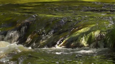 Mountain Stream Stock Footage 76899793