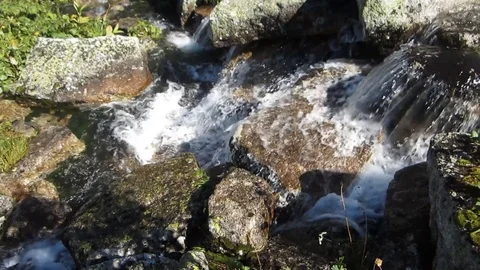 Mountain stream Stock Footage 81138397