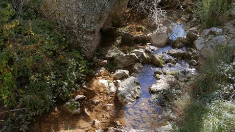 Mountain stream Stock Footage 81537701