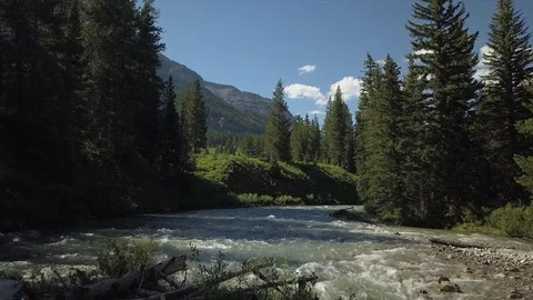 Mountain Stream Stock Footage 83321529