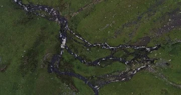 Mountain stream Stock Footage 85691918