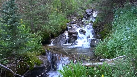 Mountain Stream Stock Footage 94049240