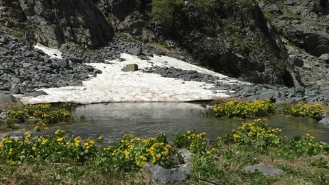 Mountain stream Vídeos de archivo 107825666