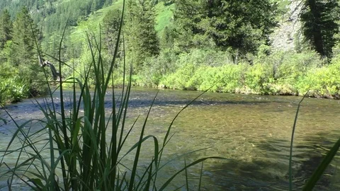 Mountain stream Stock-Footage 108108299