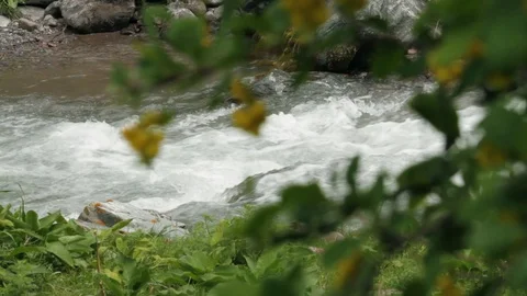 Mountain stream Stock Footage 109416873