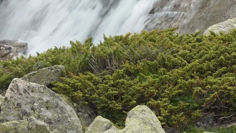 Mountain stream Vídeos de archivo 113056245