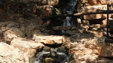 Mountain stream Stock Footage 114289273