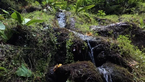 Mountain stream Stock Footage 114311085