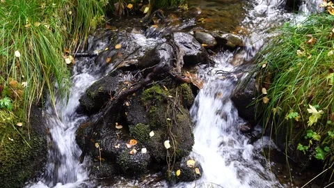 Mountain stream. Stock Footage 116808691