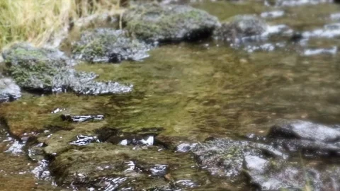 Mountain stream Stock Footage 117936306