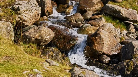 Mountain Stream Stock Footage 118386891