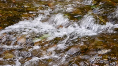 Mountain stream Stock Footage 119468375