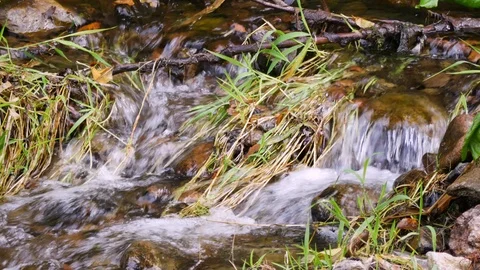 Mountain stream Stock Footage 119468484