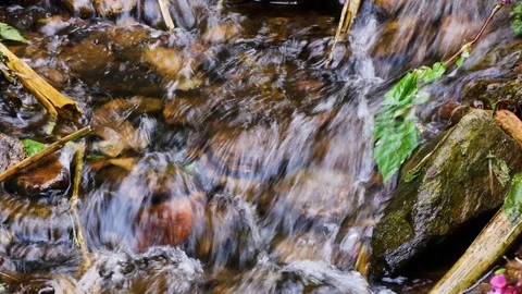 Mountain stream Vidéo 119468617