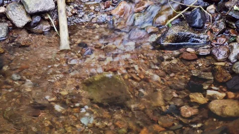 Mountain stream Stock Footage 119468965