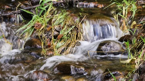Mountain stream Stock Footage 119469325