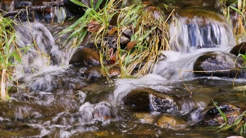 Mountain stream Stock Footage 119469601
