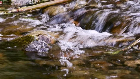 Mountain stream Stock Footage 119469866