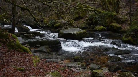 Mountain stream Stock Footage 122206982