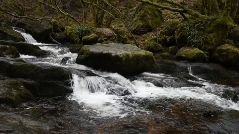 Mountain stream Stock Footage 122207363