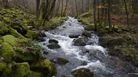 Mountain stream Stock Footage 122208749