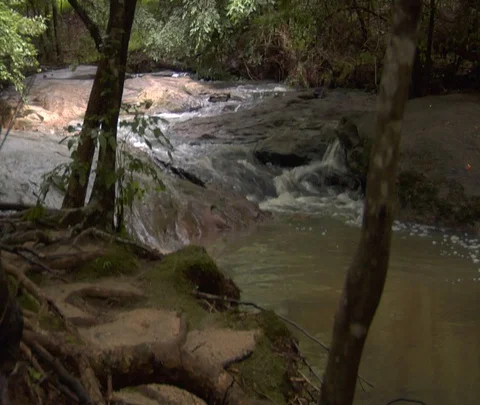 Mountain Stream Stock Footage 128130831