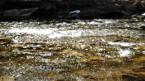 Mountain Stream Stock Footage 130878343