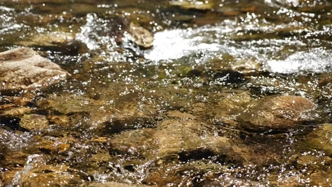 Mountain Stream Stock Footage 130879688