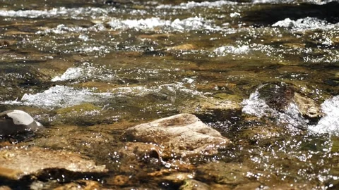 Mountain Stream Stock Footage 130879732