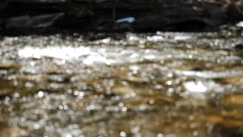 Mountain Stream Stock Footage 130879831