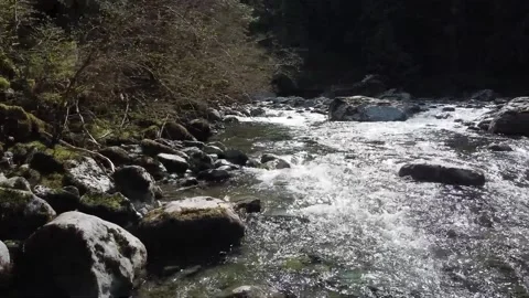 Mountain stream Vídeos de archivo 133745801