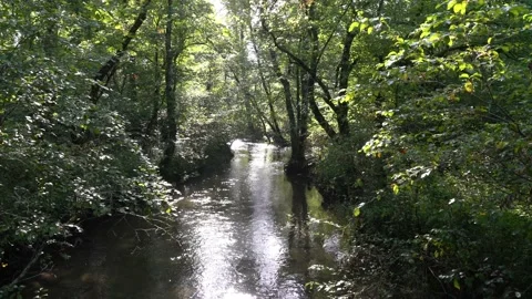 Mountain stream Video stock 138820972