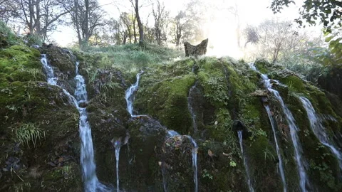 Mountain stream Stock Footage 142865833