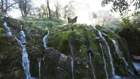 Mountain stream Stock Footage 142866253