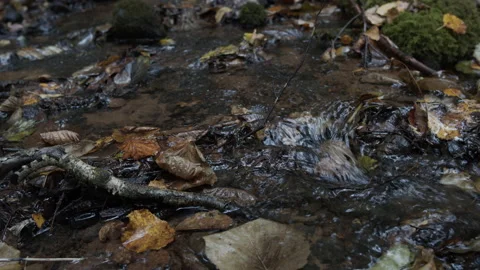 Mountain stream. Stockbeeldmateriaal 144016847