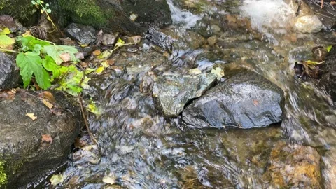 Mountain stream Video stock 144803058