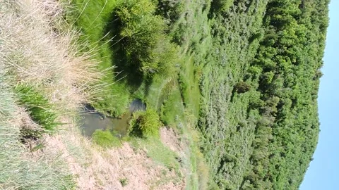 Mountain Stream Stock Footage 150987155