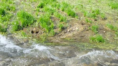 Mountain stream Stock Footage 153795907