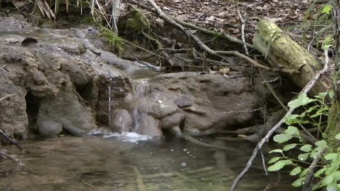 Mountain stream Stock Footage 154889964